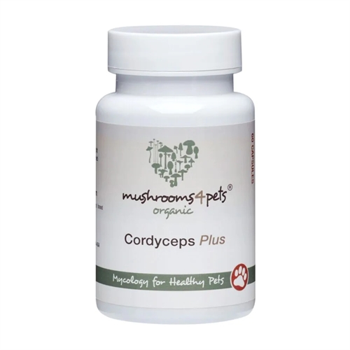 Økologisk Cordyceps Plus for Pets